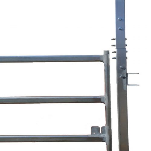 Horse Gate 7